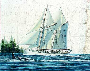 Sailing Vessel (Two-Masted) With Whales